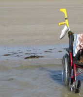 Wohnungsrollator